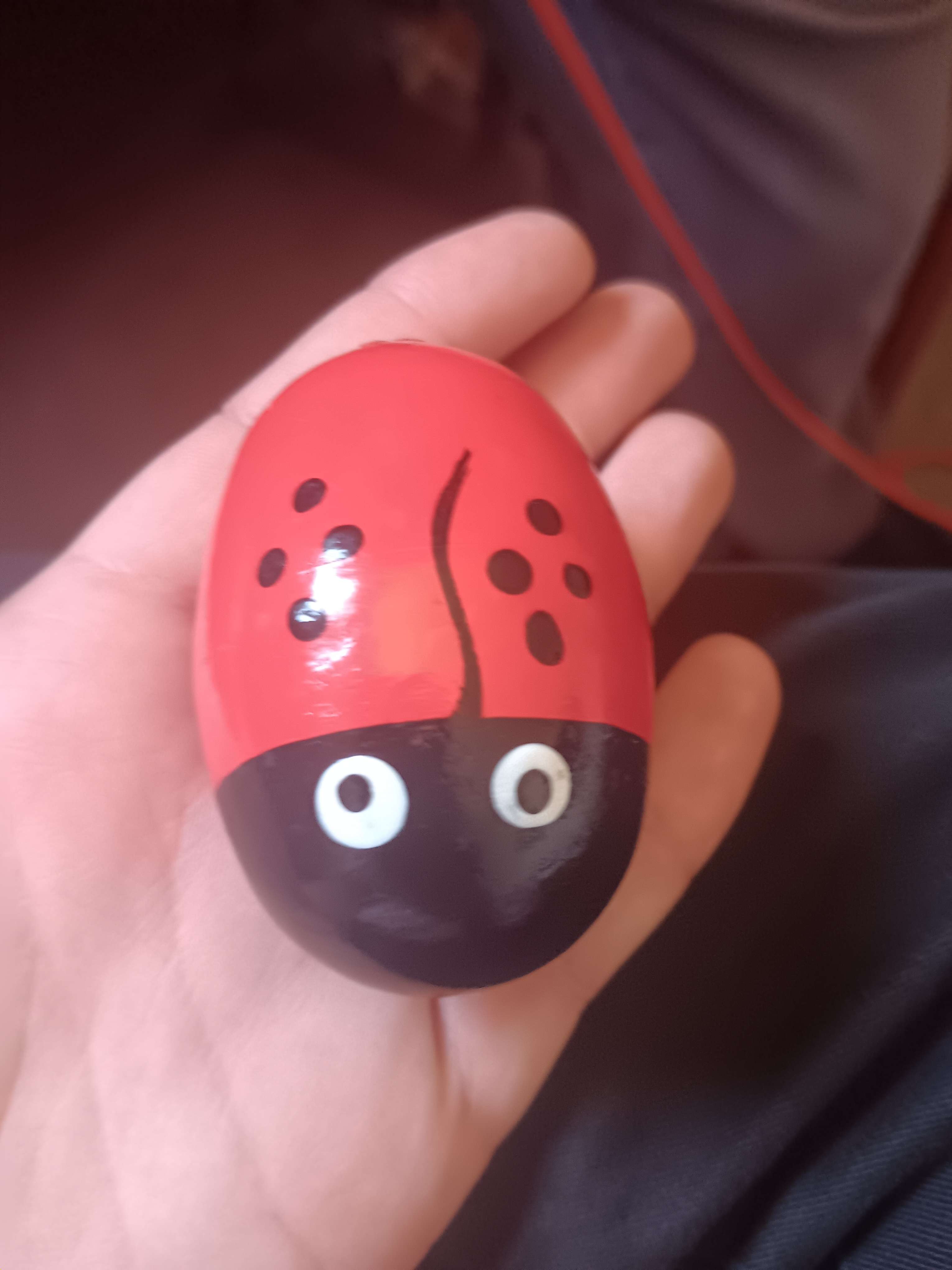 Ladybug shaker in the studio, taken 19 June 2024