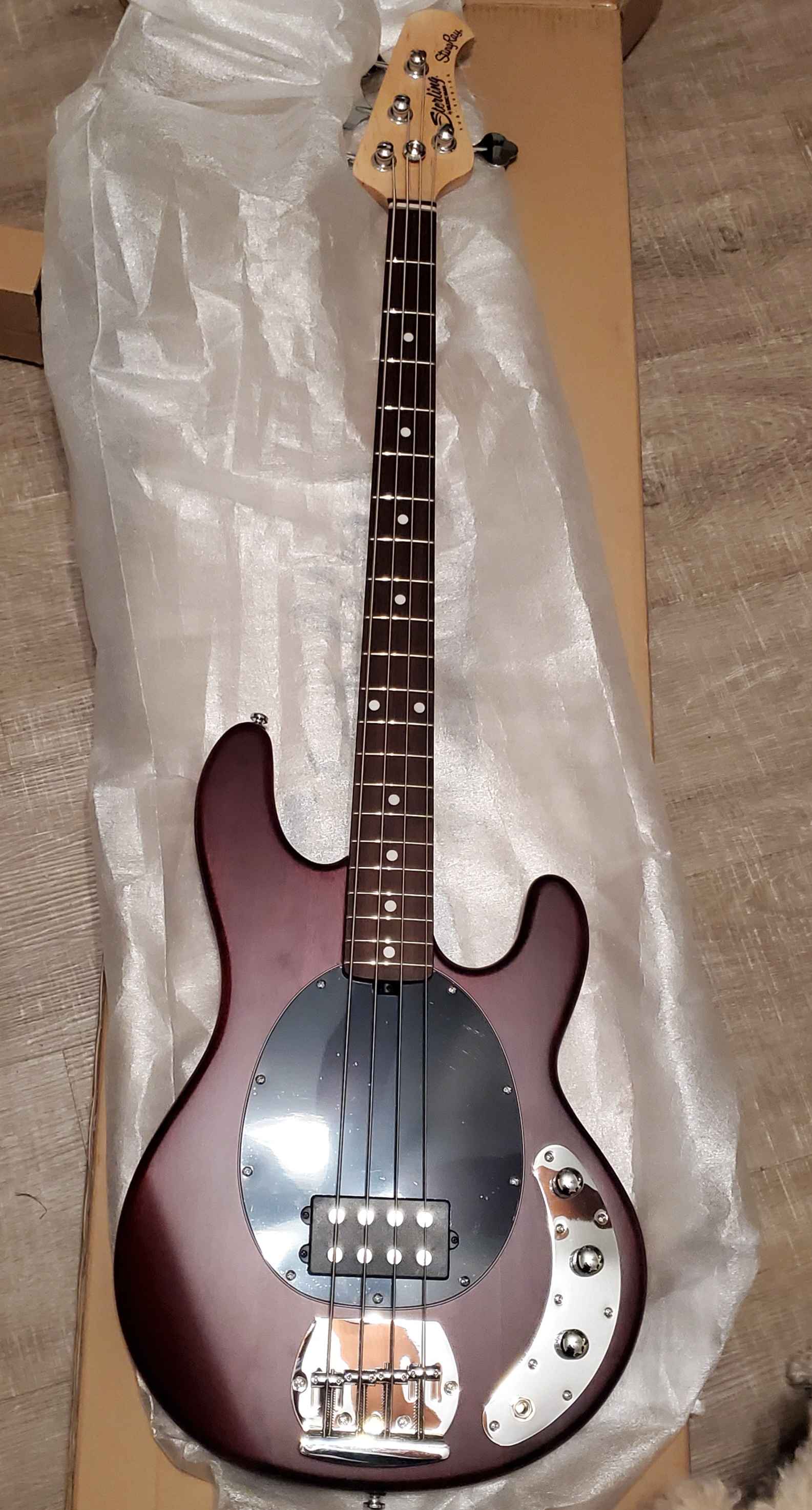 Melanie's Sterling Stingray bass